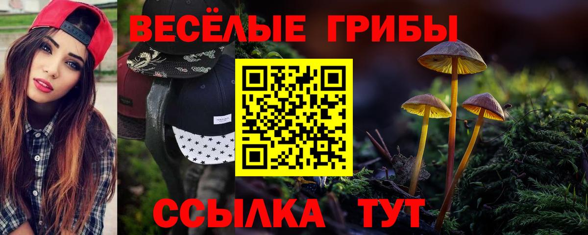 купить  сайты  Вход с VPN  Азов  Псилоцибиновые грибы Psilocybe  Галлюциногенные грибы мухоморы 